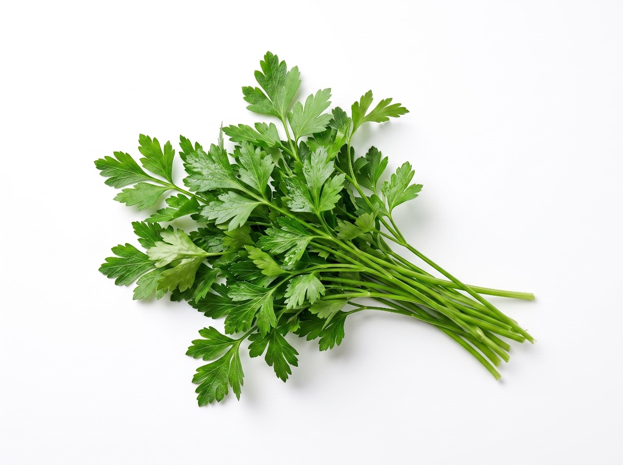 Петрушка Тулагино пучок 100 г